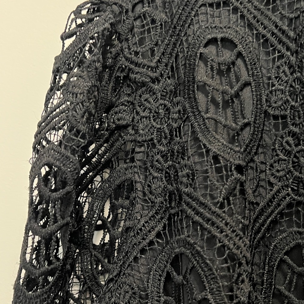 Ultra Pink Intricate Black Lace Top - Picture 3 of 3